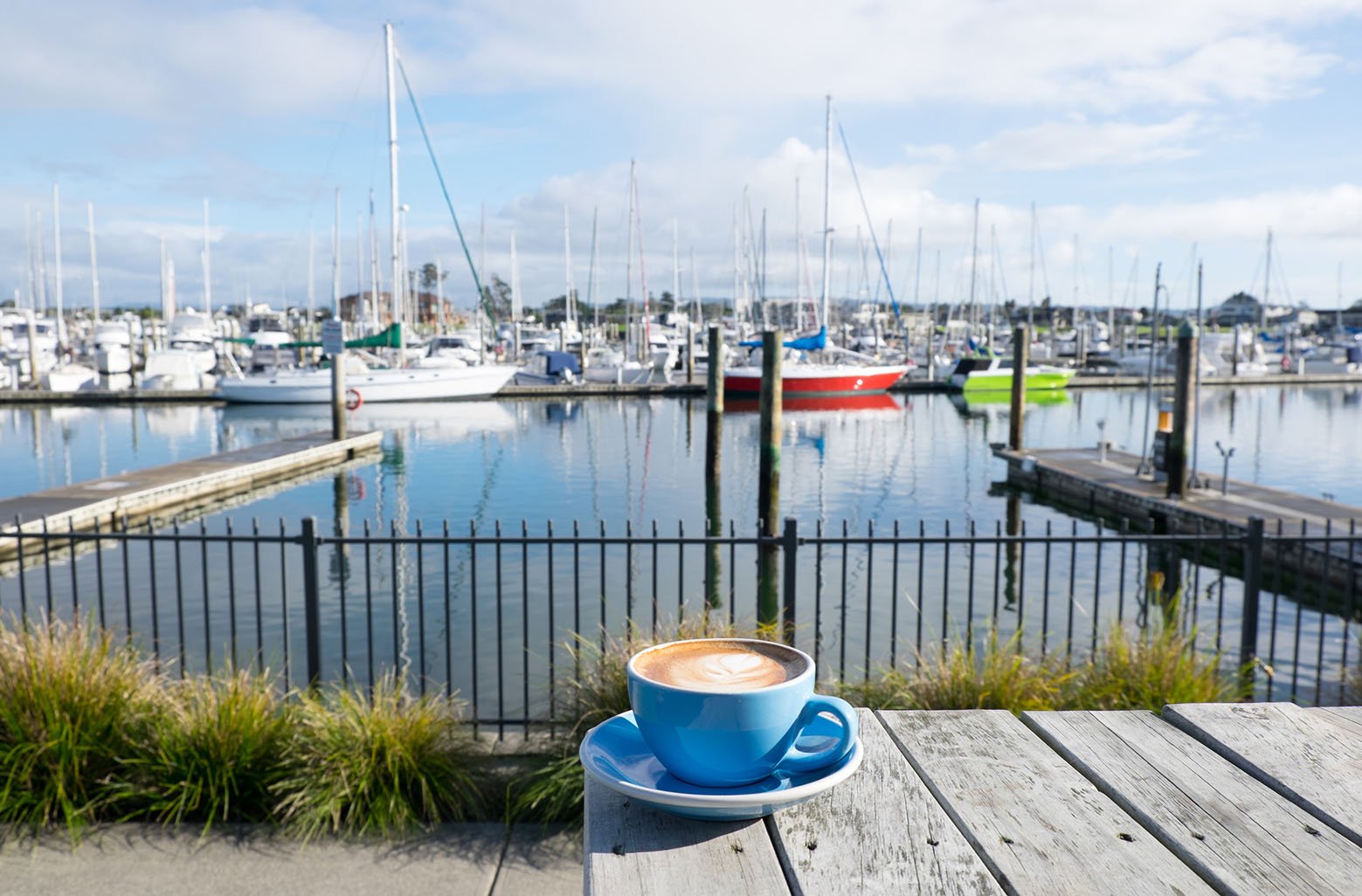 Flat white coffee in a blue cup at Marsden Cove Marina, Whangarei, New Zealand, NZ